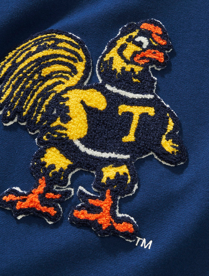 Trinity Mascot Sweatshirt